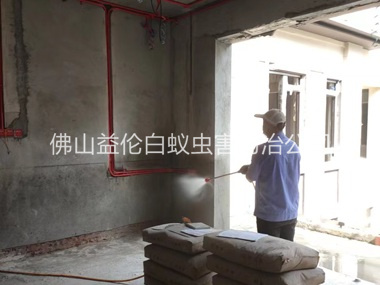 三水装修预防白蚁工程